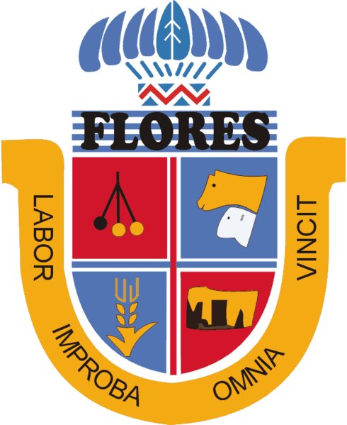 Department Of Flores