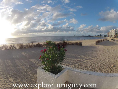 Pocitos Beach Uruguay in Montevideo