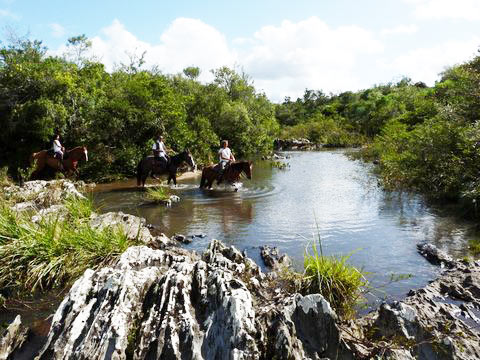 Uruguay Horse Trekking