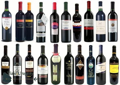 Uruguay wines