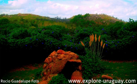 Cerro Pan de Azúcar, Piriápolis Maldonado.