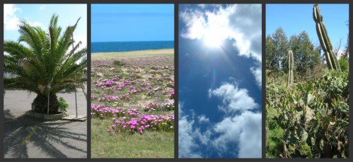 Uruguay Climate